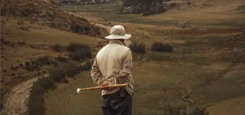 Sous les vents du monde